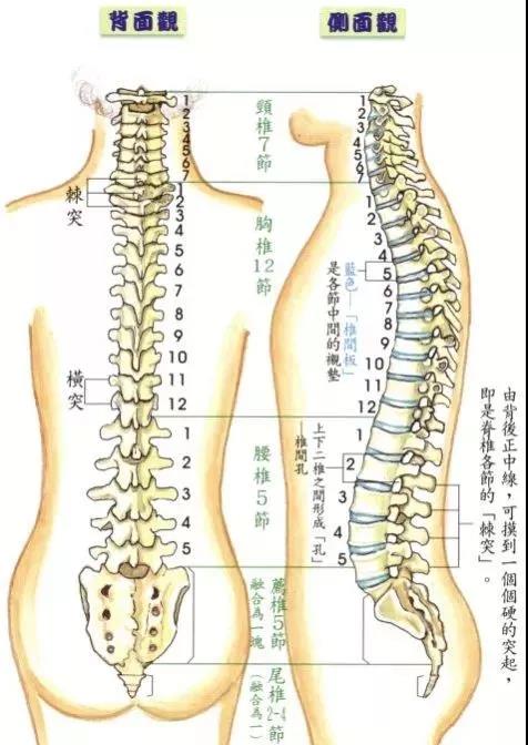 微信图片_20191118163608.jpg