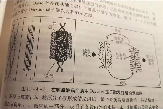 微信图片_20200215193527.jpg